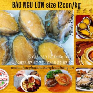 Bào ngư lớn size 10-12c/kg