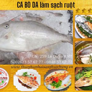 Cá bò da làm sạch