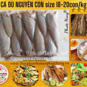 Cá đù nguyên con
