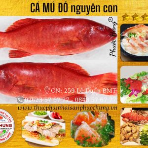 Cá mú đỏ nguyên con