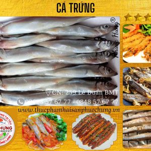 Cá trứng