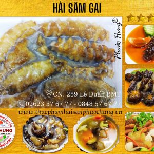 Hải Sâm gai