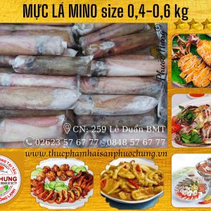 Mực lá (nhiều size)