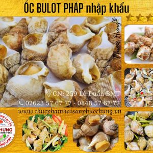 Ốc Bulot