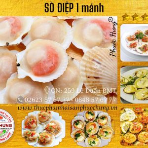 Sò điệp 1 mảnh