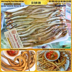 Cá sụn sịn