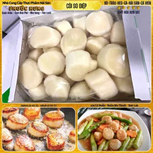 Cồi Sò Điệp