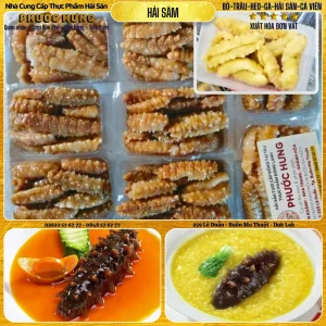 Hải Sâm gai