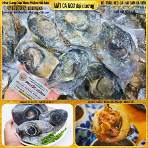 Mắt cá ngừ đại dương (không lủng)
