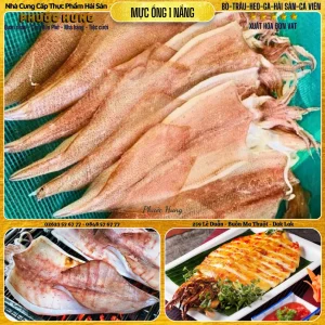 Mực ống câu 1 nắng