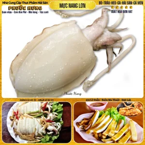 Mực nang lớn làm sạch