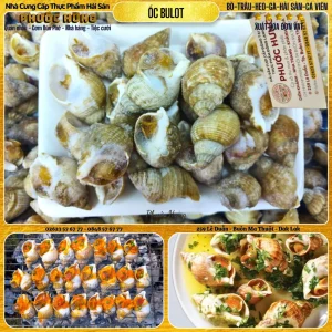 Ốc Bulot