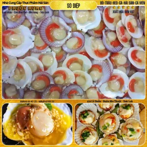 Sò điệp 1 mảnh